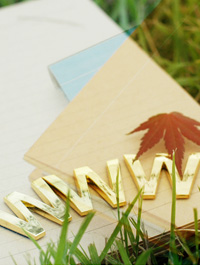 武漢海網網絡技術有限公司