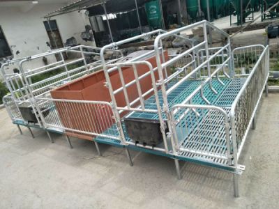 天蓬養(yǎng)豬設(shè)備廠