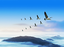 合肥精大儀表股份有限公司