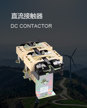 樂清市城新電器有限公司