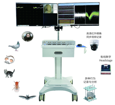 江蘇博恩醫(yī)療科技有限公司