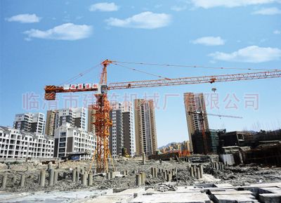 臨清市建筑機械廠有限公司