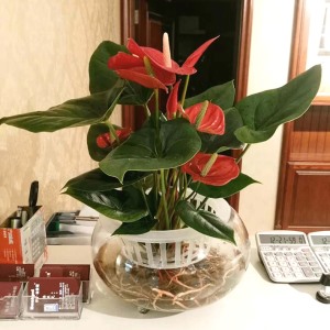 陜西鴻寶生態(tài)園林景觀工程有限公司