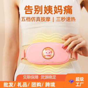 深圳市晚成輝電子有限公司