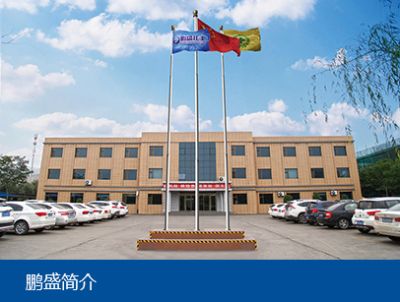 石嘴山市鵬盛化工有限公司