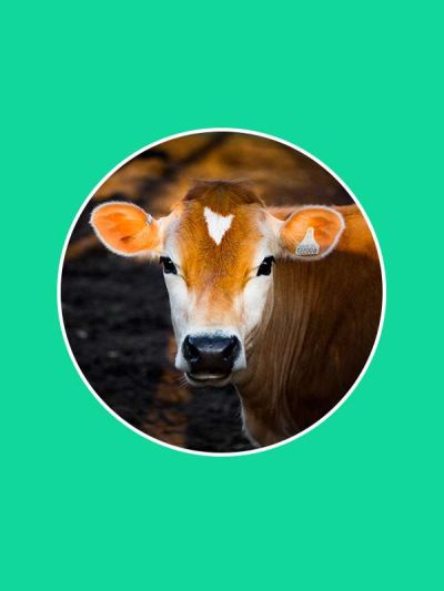 鄭州輝航機械設備有限公司