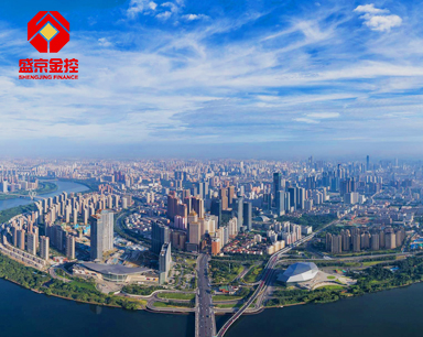 沈陽大熊科技有限公司