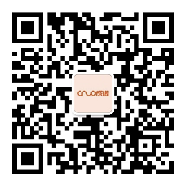 深圳成諾電子有限公司