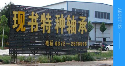 安陽市現書特種軸承有限公司