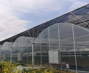 安慶市景昌農(nóng)業(yè)科技有限公司