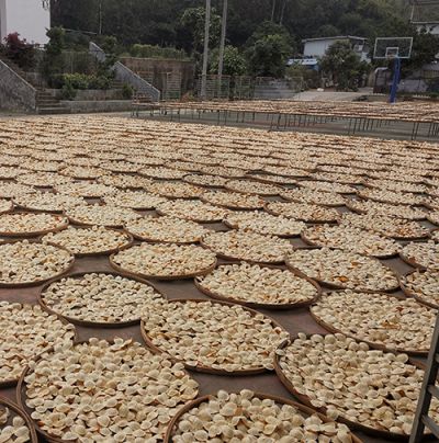 江門市新會區(qū)柑鮮味陳皮茶業(yè)有限公司