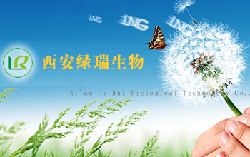 陜西佰億網(wǎng)絡(luò)工程有限公司