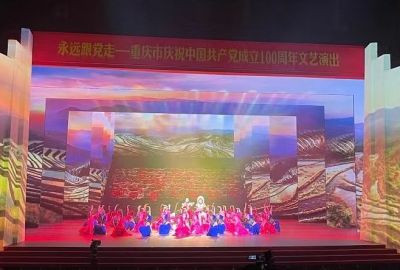 重慶美視文化傳媒有限公司