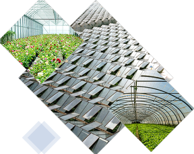 無(wú)錫永睿鴻溫室工程有限公司