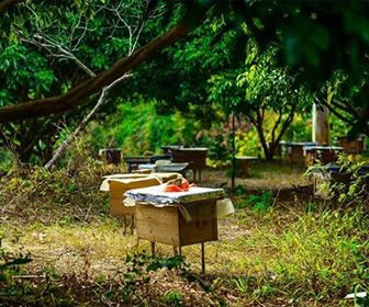 南寧市羽林電子商務有限公司