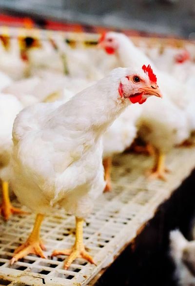 安徽萬士生物制藥有限公司