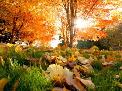 揚州斯維爾智能科技有限公司