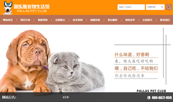 秦皇島子涵網(wǎng)絡(luò)科技有限公司