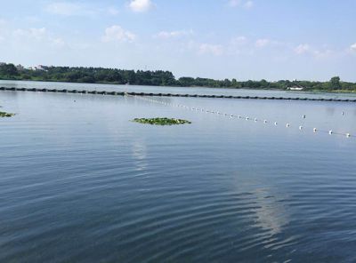 廣州市花都區赤坭寶盈養殖場