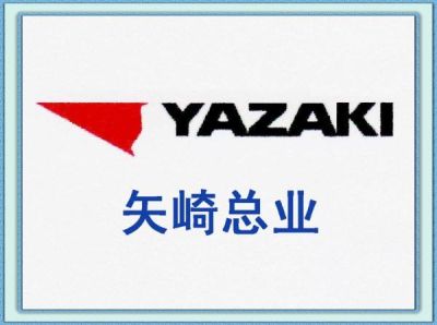 成都市康成電子有限責任公司