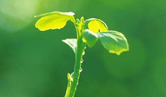 營(yíng)口磊旋耐火材料有限公司