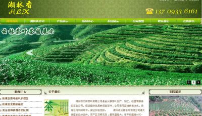 漳州廣發網絡科技有限公司