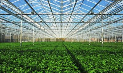 遼寧新澤溫室科技發(fā)展有限公司