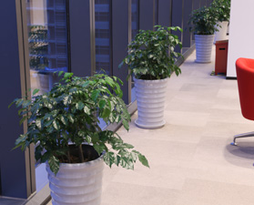 重慶市綠盒子園藝有限公司