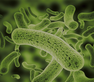 東莞市乙鑫滅菌技術服務有限公司