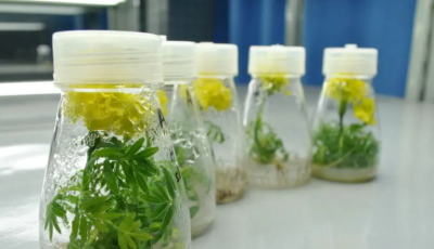 上海恒遠生物科技有限公司