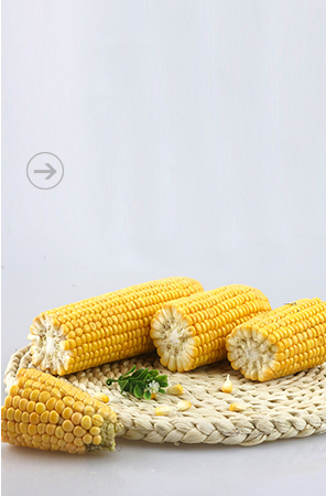 江西省花源綠色食品有限公司