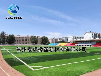 常州泰輝橡塑新材料有限公司