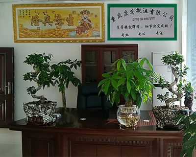 重慶慶發搬運有限公司