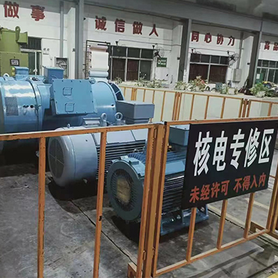 上海電氣集團上電電機股份有限公司