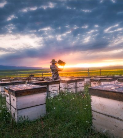 洛陽蜂樂園食品有限公司