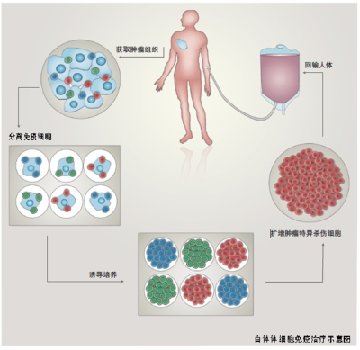 廣州益養生物科技有限公司