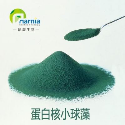 廣州能靚生物技術(shù)有限公司