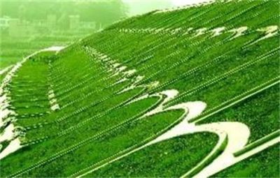 河北鼎而固邊坡綠化工程有限公司