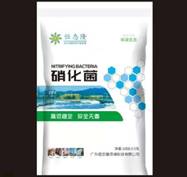 廣東恒態隆環境科技有限公司