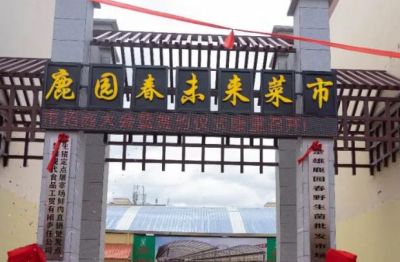 昆明天宏網絡科技有限公司