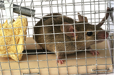 上海滲潔環保科技有限公司