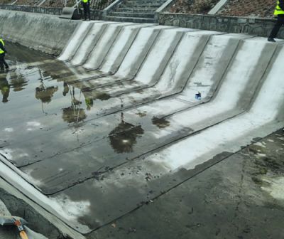 衡水鑫綠園林綠化工程有限公司