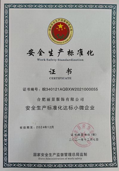 合肥麗景服裝有限公司