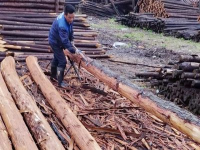 宣城市佳拓木業有限公司