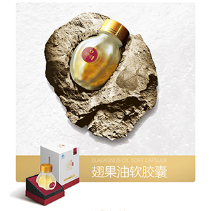 山西琪爾康翅果生物制品有限公司