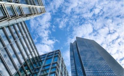 連云港紫元素食品加工有限公司