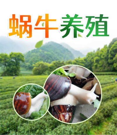 徐州邦農生物科技有限公司