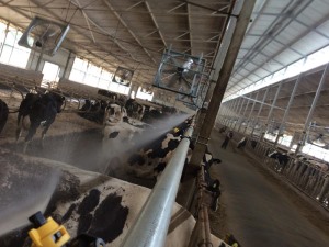 青州裕潤通風設備有限公司