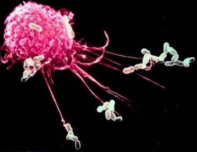 洪瑞元生物技術有限公司