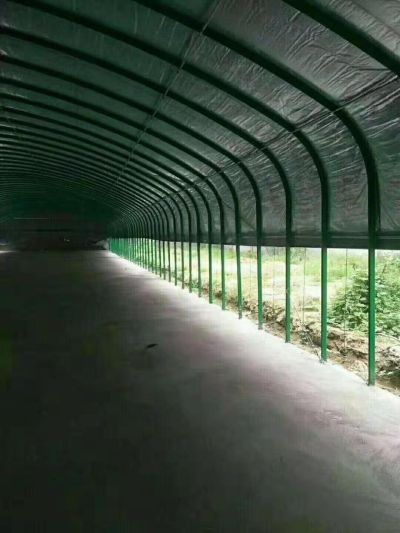 新東方禽業建設有限公司